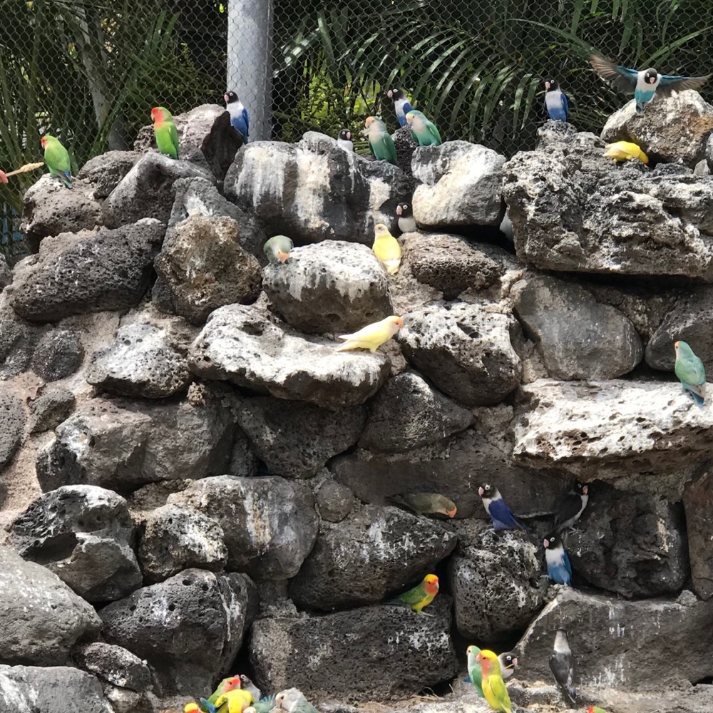 Meet your Posher, Cecilia